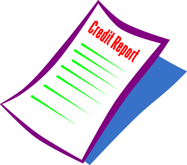 Business Credit Report Service