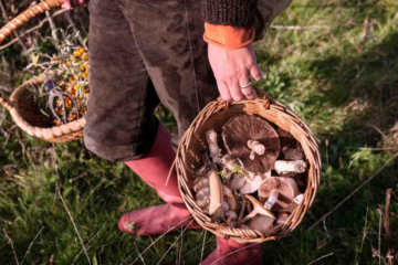 Foraging Bag