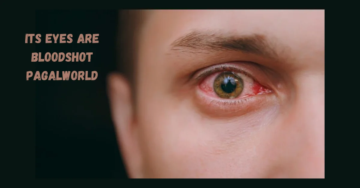 Its Eyes Are Bloodshot Pagalworld: The Viral Hit Explained